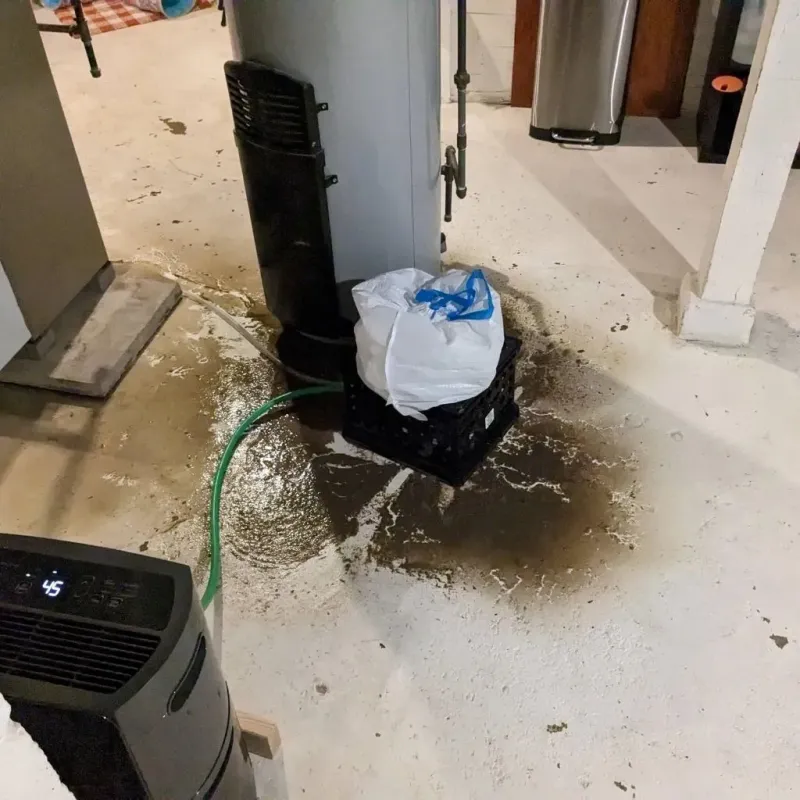 Sewage Backup Cleanup Service in Capitanejo, PR